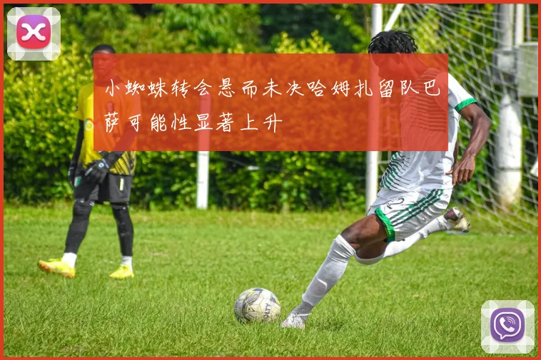小蜘蛛转会悬而未决哈姆扎留队巴萨可能性显著上升