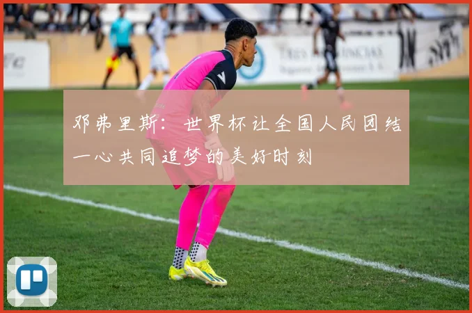 邓弗里斯：世界杯让全国人民团结一心共同追梦的美好时刻