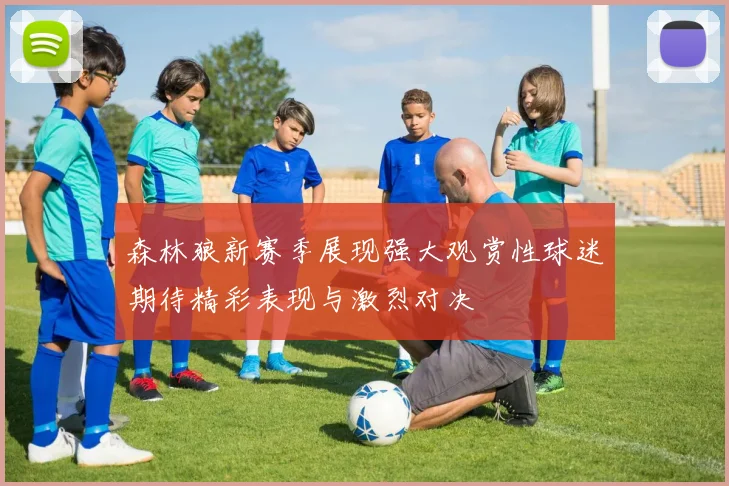 森林狼新赛季展现强大观赏性球迷期待精彩表现与激烈对决